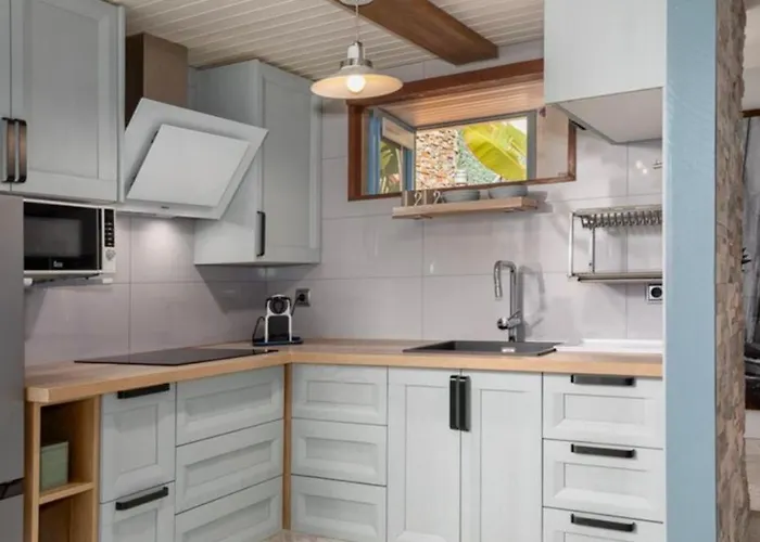 Bella Ada 布拉内斯